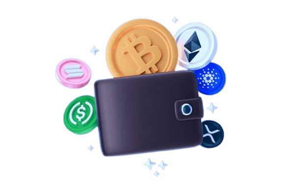 Wallet Illustration